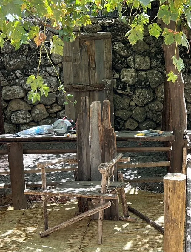 היהודים באים · הכורסה במקומה