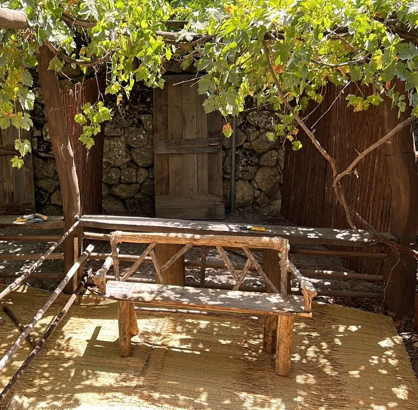 היהודים באים · הספסל במקומו