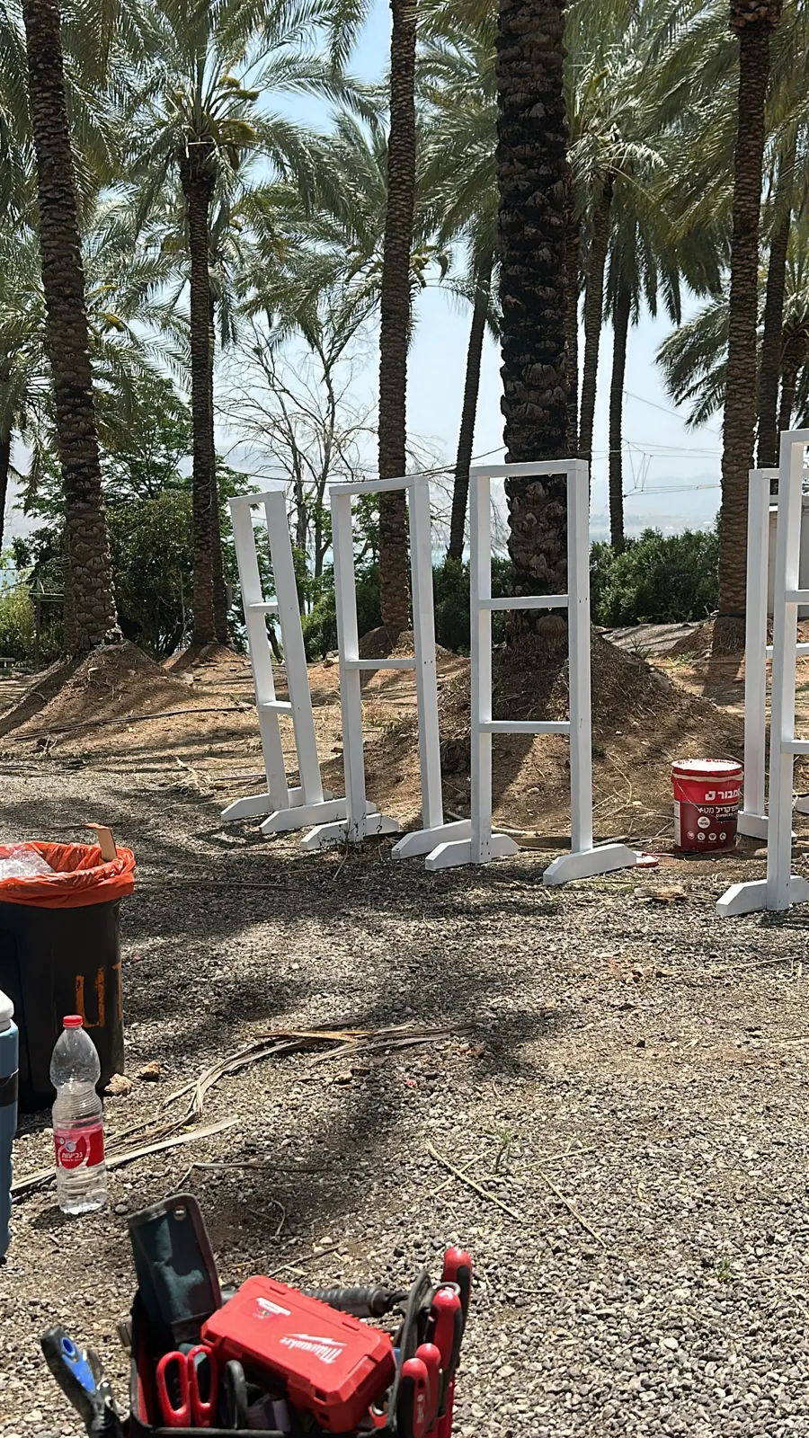 החיים הם תקופה קשה · מסגרות לבנות תחת עצי הדקל